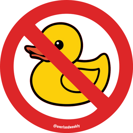 No Ducks Sticker